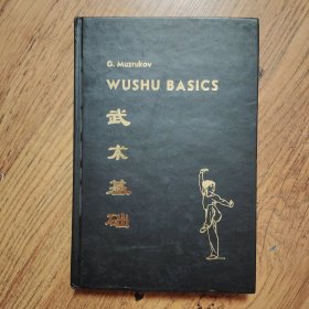 武术基础-精装