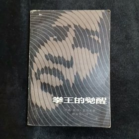 【拉丁美洲文学】拳王的觉醒