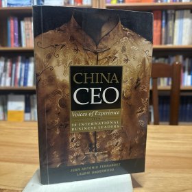 China CEO: Voices of Experience from 20 International Business Leaders  中国首席执行官