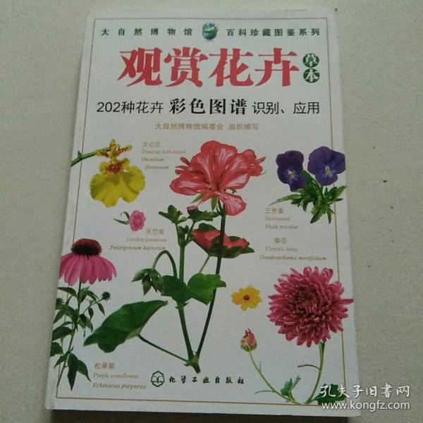 观赏花卉（草本）