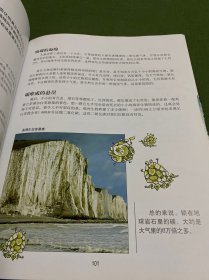 万物简史