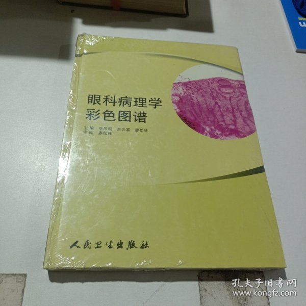 眼科病理学彩色图谱