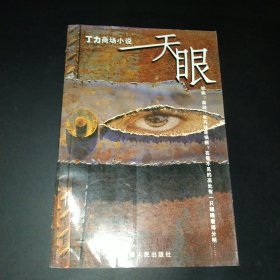 丁力商场小说：天眼