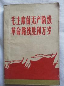 毛主席的无产阶级革命路线胜利万岁  上