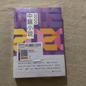 2020中篇小说