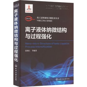 化工过程强化关键技术丛书离子液体纳微结构与过程强化