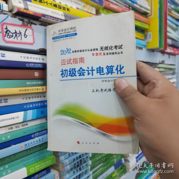 2012年会计从业资格考试梦想成真系列辅导丛书：初级会计电算化应试指南