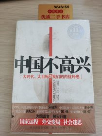 中国不高兴：大时代大目标及我们的内忧外患