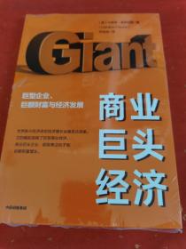 商业巨头经济巨型企业、巨额财富与经济发展