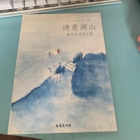 诗意湖山：柳青凯书画印集