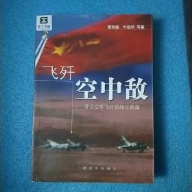 飞歼空中敌：寻访空军飞行员战斗英雄