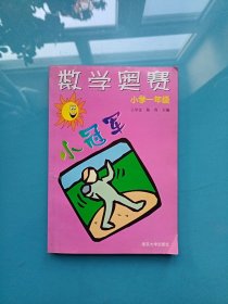 数学奥赛小冠军（小学1年级）