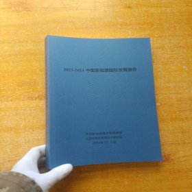 2023-2024中国新能源国际发展报告【内页干净】