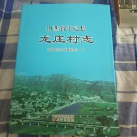 山西省平定县龙庄村志