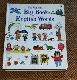 the usborne big book of English words