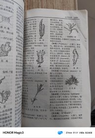 辞海：分册【11本合售】文化体育，艺术，中国古代史，宗教，经济，农业，语言文字，工程技术上下，分册