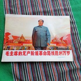 毛主席的无产阶级革命路线胜利万岁