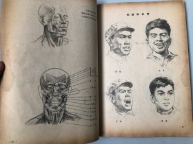 浙江美术学院编撰教材 人体结构书籍