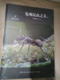 发现昆虫之美