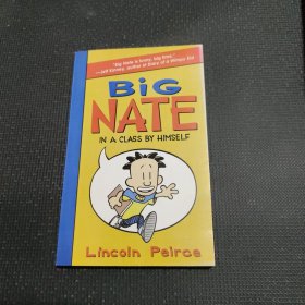 Big Nate大头奈特