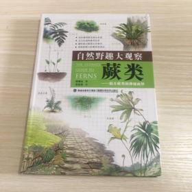 自然野趣大观察·昆虫