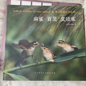 麻雀 百灵 文须雀