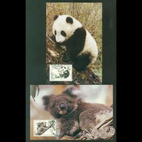 1995年 中国集邮总公司 1995-15 MC-23 珍稀动物熊猫考拉极限片 中澳联发 贴中国澳大利亚邮票各一枚