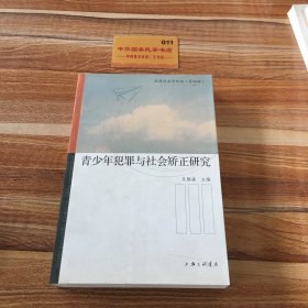 青少年犯罪与社会矫正研究/犯罪社会论坛（第四辑）