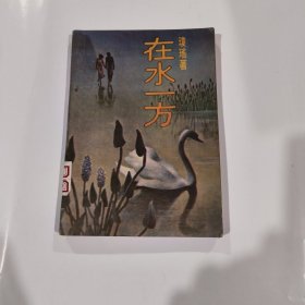 在水一方