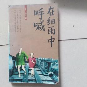 在细雨中呼喊