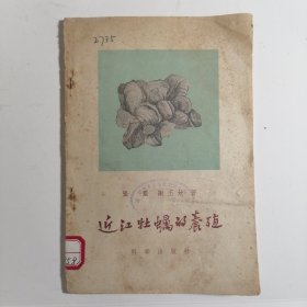 近江牡蛎的养殖