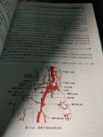系统解剖学（第3版）