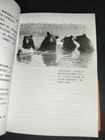 小豆豆动物剧场：新经典文库