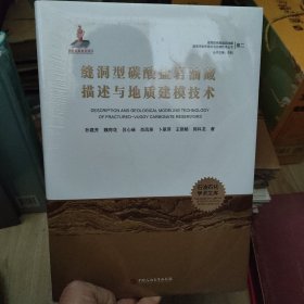 缝洞型碳酸盐岩油藏描述与地质建模技术