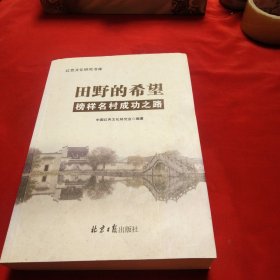 田野的希望榜样名村成功之路/红色文化研究书库