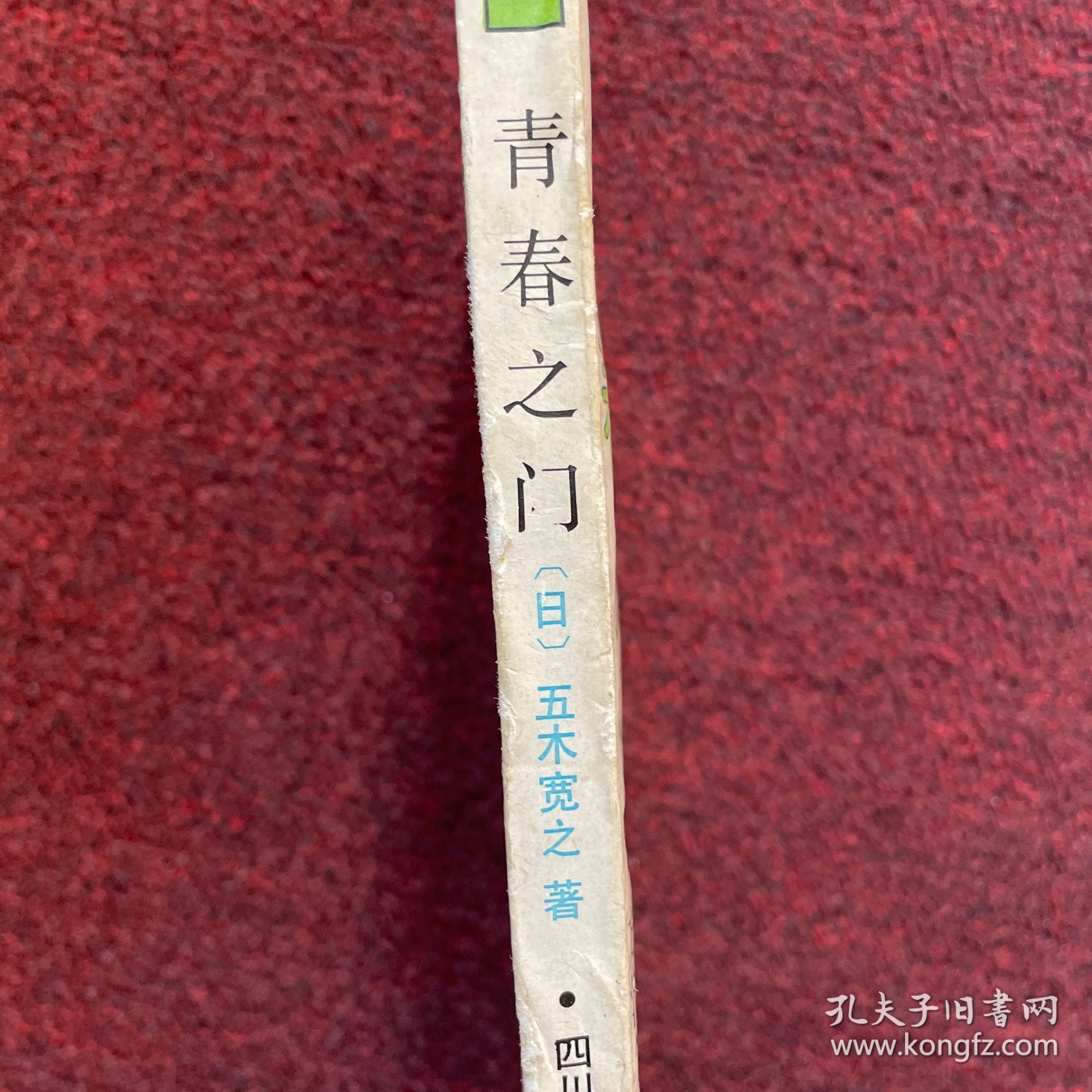 青春之门：放浪篇：青春长河系列——放浪篇