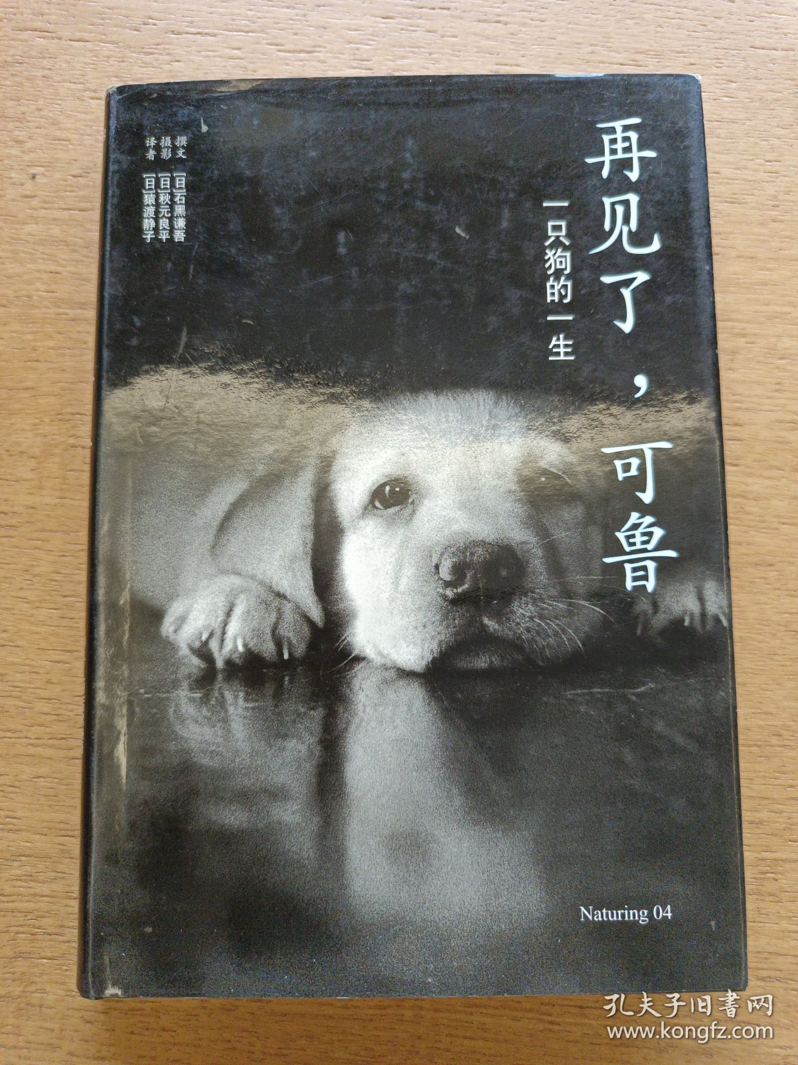 再见了，可鲁：一只狗的一生