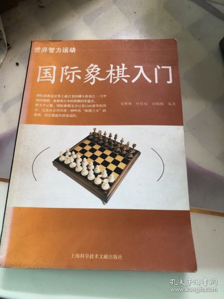 国际象棋入门