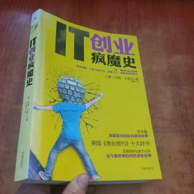 IT创业疯魔史