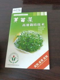 芽苗菜高效栽培技术