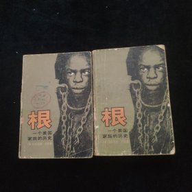 根一个美国家族的历史 上下合售