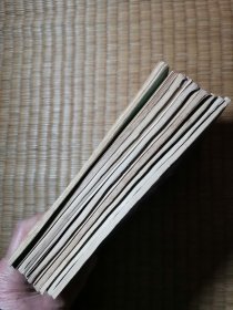 小学语文阅读文库第七辑全10册【第一册选墙报委员.第二册小骑兵.第三册野葡萄.第四册落难荒岛.第五册百鸡宴活捉座山雕，第六册我们和爱尔莎一家，第七册：小小的金项链，第八册鄂温克人与火的故事，第九册布克的奇遇.第十册石门寨！