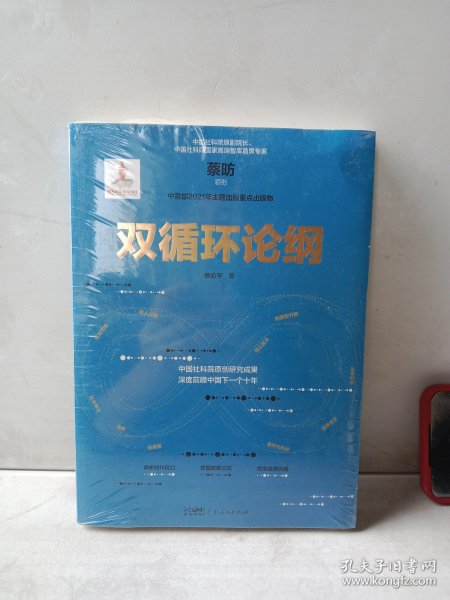 双循环论纲（中国社科院原创研究成果，深度前瞻中国下一个十年，变革来临时，抓住中国经济未来的十个关键答案）