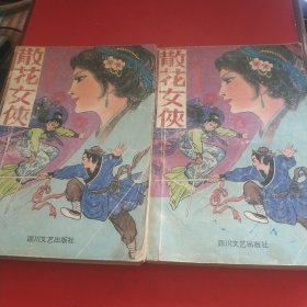 老武侠：散花女侠（上下册全）