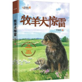 牧羊犬惊雷 9787531363491 许廷旺