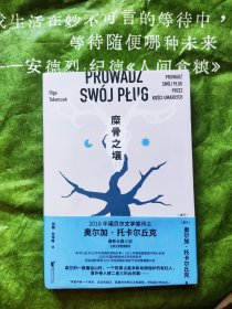 糜骨之壤（诺贝尔文学奖得主托卡尔丘克最新长篇小说）