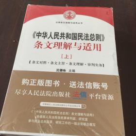 中华人民共和国民法总则 条文理解与适用（上下）