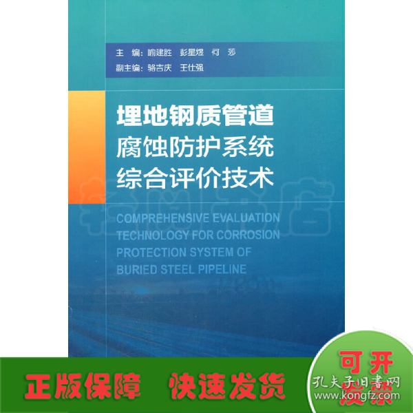 埋地钢质管道腐蚀防护系统综合评价技术