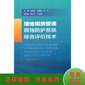 埋地钢质管道腐蚀防护系统综合评价技术