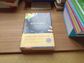 迷宫中的将军 精装